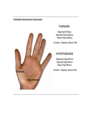  
 
INTRINSIC MUSCLES OF THE HAND 
 
 
 
 
 
 