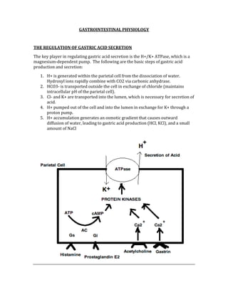 GASTROINTESTINAL PHYSIOLOGY 
 
THE REGULATION OF GASTRIC ACID SECRETION 
The key player in regulating gastric acid secretion is the H+/K+ ATPase, which is a 
magnesium‐dependent pump.  The following are the basic steps of gastric acid 
production and secretion: 
1. H+ is generated within the parietal cell from the dissociation of water.  
Hydroxyl ions rapidly combine with CO2 via carbonic anhydrase. 
2. HCO3‐ is transported outside the cell in exchange of chloride (maintains 
intracellular pH of the parietal cell). 
3. Cl‐ and K+ are transported into the lumen, which is necessary for secretion of 
acid. 
4. H+ pumped out of the cell and into the lumen in exchange for K+ through a 
proton pump. 
5. H+ accumulation generates an osmotic gradient that causes outward 
diffusion of water, leading to gastric acid production (HCl, KCl), and a small 
amount of NaCl 
 
 