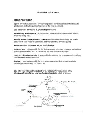 ENDOCRINE PHYSIOLOGY 
 
SPERM PRODUCTION 
Sperm production relies on a few very important hormones in order to stimulate 
production, and subsequently to produce the proper amount.  
The important hormones of spermatogenesis are: 
Leutenizing Hormone (LH)  responsible for stimulating testosterone release 
from the leydig cells. 
Follicle Stimulating Hormone (FSH)  responsible for stimulating the Sertoli 
cells, which then release Inhibin and Androgen‐binding proteins (ABP) 
From these two hormones, we get the following: 
Testosterone  responsible for the differentiation into male genitalia, maintaining 
gametogenesis (these are the two things we need most for this topic) 
Androgen­binding protein  responsible for keeping the testosterone levels high 
inside the seminiferous tubules 
Inhibin  this is responsible for providing negative feedback to the pituitary, 
inhibiting the release of too much FSH. 
 
The following illustration puts all of the above information into play, 
significantly simplifying your understanding of the whole process… 
 
 