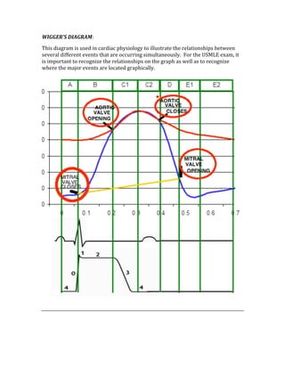 WIGGER’S DIAGRAM: 
This diagram is used in cardiac physiology to illustrate the relationships between 
several different events that are occurring simultaneously.  For the USMLE exam, it 
is important to recognize the relationships on the graph as well as to recognize 
where the major events are located graphically. 
 
 
 
 
 