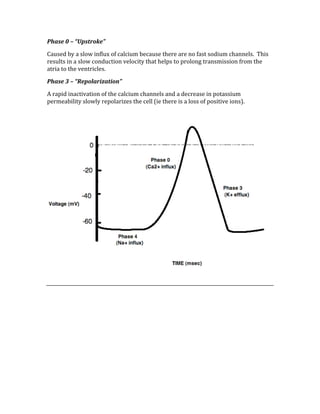 Phase 0 – “Upstroke” 
Caused by a slow influx of calcium because there are no fast sodium channels.  This 
results in a slow conduction velocity that helps to prolong transmission from the 
atria to the ventricles. 
Phase 3 – “Repolarization” 
A rapid inactivation of the calcium channels and a decrease in potassium 
permeability slowly repolarizes the cell (ie there is a loss of positive ions). 
 
 
 
 
 
 
 
 
 
 