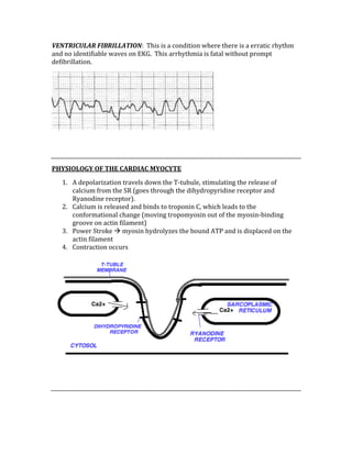 VENTRICULAR FIBRILLATION:  This is a condition where there is a erratic rhythm 
and no identifiable waves on EKG.  This arrhythmia is fatal without prompt 
defibrillation. 
 
 
 
PHYSIOLOGY OF THE CARDIAC MYOCYTE 
1. A depolarization travels down the T‐tubule, stimulating the release of 
calcium from the SR (goes through the dihydropyridine receptor and 
Ryanodine receptor). 
2. Calcium is released and binds to troponin C, which leads to the 
conformational change (moving tropomyosin out of the myosin‐binding 
groove on actin filament) 
3. Power Stroke  myosin hydrolyzes the bound ATP and is displaced on the 
actin filament 
4. Contraction occurs 
 
 
 
 
 