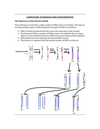  
LABORATORY TECHNIQUES USED IN BIOCHEMISTRY 
The Polymerase Chain Reaction (PCR) 
This technique is used when a large number of DNA copies are needed.  The steps to 
creating multiple copies of DNA fragments through the PCR are as follows: 
1. DNA is heated and denatured, this causes the separation of the strands. 
2. The denatured DNA is cooled, and DNA primers are added to the mix, these 
adhere to each individual strand of DNA at the location that will be amplified. 
3. DNA polymerase then replicates the desired DNA strands. 
4. This process is repeated until the desired number of DNA is achieved. 
 
 