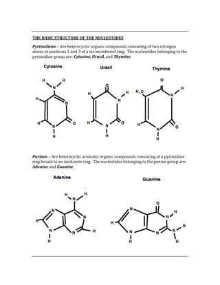  
THE BASIC STRUCTURE OF THE NUCLEOTIDES 
Pyrimidines – Are heterocyclic organic compounds consisting of two nitrogen 
atoms at positions 1 and 3 of a six‐membered ring.  The nucleotides belonging to the 
pyrimidine group are: Cytosine, Uracil, and Thymine. 
 
 
Purines – Are heterocyclic aromatic organic compounds consisting of a pyrimidine 
ring bound to an imidazole ring.  The nucleotides belonging to the purine group are: 
Adenine and Guanine. 
 
 
 