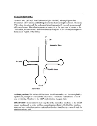  
STRUCTURE OF tRNA 
Transfer RNA (tRNA) is an RNA molecule (the smallest) whose purpose is to 
transfer an active amino acid to the polypeptide chain during translation.  There is a 
3’ terminal site, at which the amino acid attaches covalently through an aminoacyl 
tRNA synthetase.  The other important structure is at the base, and is known as the 
‘anticodon’, which carries a 3 nucleotide code that pairs to the corresponding three 
base codon region of the mRNA. 
 
Aminoacylation ‐ The amino acid becomes linked to the tRNA via ‘Aminoacyl tRNA 
synthetase’, using ATP to attach the amino acid.  The amino acid is bound to the 3’ 
end covalently.  This leaves the tRNA molecule in a charged state. 
tRNA Wobble – is the concept that only the first 2 nucleotide positions of the mRNA 
codon must match in order for the process to proceed correctly, the third position 
does not have to be the exact correct nucleotide since its difference can still code for 
the same amino acid. 
 