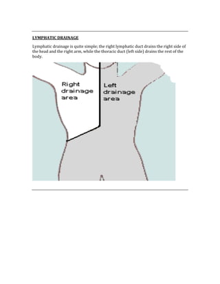 
LYMPHATIC DRAINAGE 
Lymphatic drainage is quite simple; the right lymphatic duct drains the right side of 
the head and the right arm, while the thoracic duct (left side) drains the rest of the 
body.   
 
 
 
 
 
 
 
 
 
 