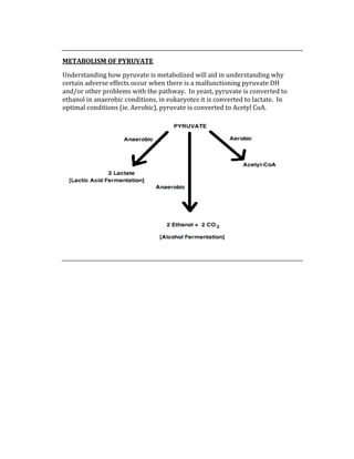  
METABOLISM OF PYRUVATE 
Understanding how pyruvate is metabolized will aid in understanding why 
certain adverse effects occur when there is a malfunctioning pyruvate DH 
and/or other problems with the pathway.  In yeast, pyruvate is converted to 
ethanol in anaerobic conditions, in eukaryotes it is converted to lactate.  In 
optimal conditions (ie. Aerobic), pyruvate is converted to Acetyl CoA. 
 
 
 
 
 
 
 
 
 
 
 
 
 
 