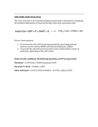  
THE CITRIC ACID CYCLE (TCA) 
The citric acid cycle is an essential metabolic process that is essential for completing 
the oxidative degradation of monosaccharides, fatty acids, and amino acids. 
 
 
 
Serves 2 main purpose: 
1. To increase the cell’s ATP producing potential by generating reduced 
electron carriers such as NADH and reduced ubiquinone. ( QH2). 
2. To provide the cell with precursors that can be used to build a variety of 
molecules, depending on the cell’s needs. 
 
Under aerobic conditions, the following quantities of ATP are generated: 
Glycolysis = 2 ATP (net), 2 NADH (equaling 6 ATP)  
Pyruvate  ACoA = 2 NADH = 6ATP 
Citric Acid Cycle = 2 GTP (2 ATP), 6 NADH (~ 18 ATP), 2 QH2 (4 ATP) 
 