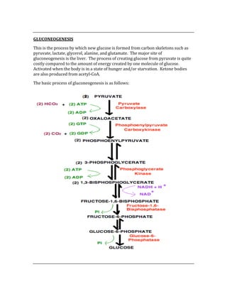  
GLUCONEOGENESIS 
This is the process by which new glucose is formed from carbon skeletons such as 
pyruvate, lactate, glycerol, alanine, and glutamate.  The major site of 
gluconeogenesis is the liver.  The process of creating glucose from pyruvate is quite 
costly compared to the amount of energy created by one molecule of glucose.  
Activated when the body is in a state of hunger and/or starvation.  Ketone bodies 
are also produced from acetyl‐CoA. 
The basic process of gluconeogenesis is as follows: 
 
 
 