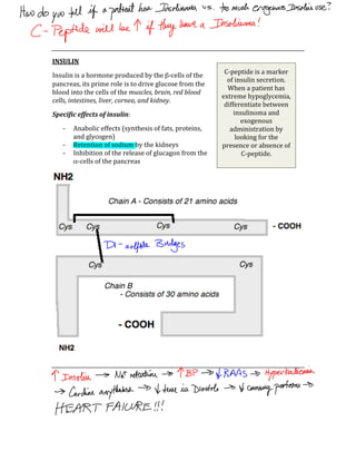  
INSULIN 
Insulin is a hormone produced by the β‐cells of the 
pancreas, its prime role is to drive glucose from the 
blood into the cells of the muscles, brain, red blood 
cells, intestines, liver, cornea, and kidney. 
Specific effects of insulin: 
‐ Anabolic effects (synthesis of fats, proteins, 
and glycogen) 
‐ Retention of sodium by the kidneys 
‐ Inhibition of the release of glucagon from the 
α‐cells of the pancreas 
 
 
 
 
 
C‐peptide is a marker 
of insulin secretion.  
When a patient has 
extreme hypoglycemia, 
differentiate between 
insulinoma and 
exogenous 
administration by 
looking for the 
presence or absence of 
C‐peptide. 
 