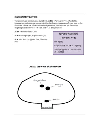  
DIAPHRAGM STRUCTURE 
The diaphragm is innervated by C3, C4, and C5 (Phrenic Nerve).  Due to this 
innervation, pain and/or pressure to the diaphragm can cause referred pain to the 
shoulder.  There are a few extremely important structures that perforate the 
diaphragm at the level of T8, T10, and T12.  They include: 
At T8 – Inferior Vena Cava 
At T10 – Esophagus, Vagal trunks (2) 
At T 12 – Aorta, Azygous Vein, Thoracic 
Duct 
 
 
 
 
 
 
POPULAR MNEMONIC 
I 8 10 EGGS AT 12 
IVC 8 (T8) 
EsophaGus & vaGuS at 10 (T10) 
Aorta/Azygous & Thoracic duct 
at 12 (T12) 
 