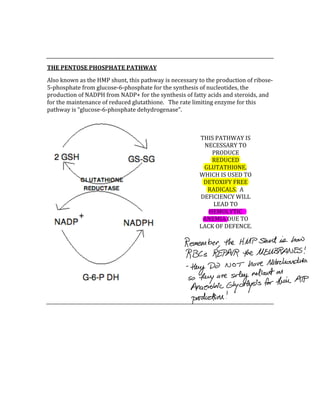  
 
THE PENTOSE PHOSPHATE PATHWAY 
Also known as the HMP shunt, this pathway is necessary to the production of ribose‐
5‐phosphate from glucose‐6‐phosphate for the synthesis of nucleotides, the 
production of NADPH from NADP+ for the synthesis of fatty acids and steroids, and 
for the maintenance of reduced glutathione.   The rate limiting enzyme for this 
pathway is “glucose‐6‐phosphate dehydrogenase”. 
 
 
 
 
 
 
 
THIS PATHWAY IS 
NECESSARY TO 
PRODUCE 
REDUCED 
GLUTATHIONE, 
WHICH IS USED TO 
DETOXIFY FREE 
RADICALS.  A 
DEFICIENCY WILL 
LEAD TO 
HEMOLYTIC 
ANEMIA DUE TO 
LACK OF DEFENCE. 
 