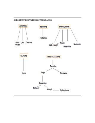  
 
IMPORTANT DERIVATIVES OF AMINO ACIDS 
 
 
 
 
 
 
 