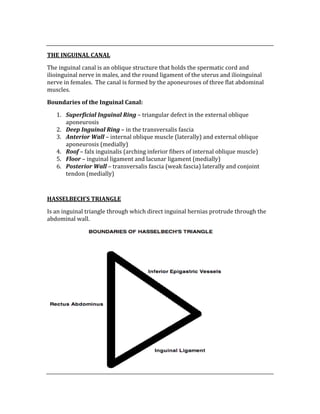 
THE INGUINAL CANAL 
The inguinal canal is an oblique structure that holds the spermatic cord and 
ilioinguinal nerve in males, and the round ligament of the uterus and ilioinguinal 
nerve in females.  The canal is formed by the aponeuroses of three flat abdominal 
muscles. 
Boundaries of the Inguinal Canal: 
1. Superficial Inguinal Ring – triangular defect in the external oblique 
aponeurosis 
2. Deep Inguinal Ring – in the transversalis fascia 
3. Anterior Wall – internal oblique muscle (laterally) and external oblique 
aponeurosis (medially) 
4. Roof – falx inguinalis (arching inferior fibers of internal oblique muscle) 
5. Floor – inguinal ligament and lacunar ligament (medially) 
6. Posterior Wall – transversalis fascia (weak fascia) laterally and conjoint 
tendon (medially) 
 
HASSELBECH’S TRIANGLE 
Is an inguinal triangle through which direct inguinal hernias protrude through the 
abdominal wall.   
 
 
