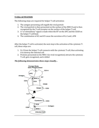  
T­CELL ACTIVATION 
The following steps are required for helper T‐cell activation: 
1. The antigen‐presenting cell engulfs the viral particle 
2. The viral particle is then presented on the surface of the MHC II and is then 
recognized by the T‐cell receptor on the surface of the helper T‐cell 
3. A “co‐stimulatory” signal is made when the B7 on the APC and the CD28 on 
the helper T‐cell bind. 
4. The combination of #2 and #3 cause the secretion of IL‐2 and γ‐IFN 
 
After the helper T‐cell is activated, the next step is the activation of the cytotoxic T‐
cell, these steps are: 
1. IL‐2 from the helper T‐cell connects with the cytotoxic T‐cell, thus activating 
it to destroy the infected cell. 
2. Proteins presented on the MHC I (ie viral‐recognition) attracts the cytotoxic 
T‐cell, gets recognized, and is killed 
The following demonstrates these steps visually… 
 
 