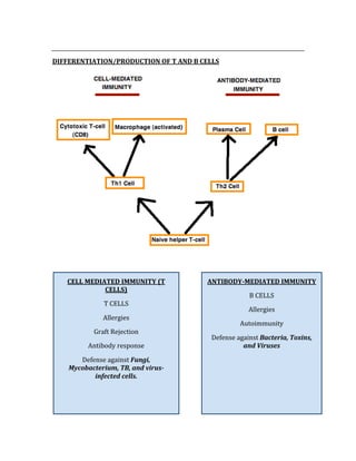  
DIFFERENTIATION/PRODUCTION OF T AND B CELLS 
 
 
 
 
 
 
 
 
 
 
 
 
CELL MEDIATED IMMUNITY (T 
CELLS) 
T CELLS 
Allergies 
Graft Rejection 
Antibody response 
Defense against Fungi, 
Mycobacterium, TB, and virus­
infected cells. 
ANTIBODY­MEDIATED IMMUNITY 
B CELLS 
Allergies 
Autoimmunity 
Defense against Bacteria, Toxins, 
and Viruses 
 