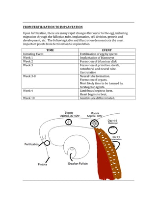  
FROM FERTILIZATION TO IMPLANTATION 
Upon fertilization, there are many rapid changes that occur to the egg, including 
migration through the fallopian tube, implantation, cell division, growth and 
development, etc.  The following table and illustration demonstrate the most 
important points from fertilization to implantation. 
TIME  EVENT 
Initiating Event  Fertilization of egg by sperm 
Week 1  Implantation of blastocyst 
Week 2  Formation of bilaminar disk 
Week 3  Formation of primitive streak, 
notochord, and neural tube.   
Gastrulation 
Week 3‐8  Neural tube formation. 
Formation of organs. 
Most likely time to be harmed by 
teratogenic agents. 
Week 4  Limb buds begin to form. 
Heart begins to beat. 
Week 10  Genitals are differentiated. 
 
 
 