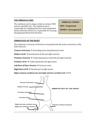  
 
THE UMBILICAL CORD 
The umbilical cord is unique in that it contains TWO 
arteries and ONE vein.  The umbilical vein is 
responsible for supplying the fetus with oxygenated 
blood, while the arteries are responsible for carrying 
deoxygenated blood from the fetus. 
 
EMBRYOLOGY OF THE HEART 
The embryonic structures of the heart correspond with the mature structures of the 
heart, they are: 
Truncus Arteriosus  Ascending aorta and pulmonary trunk 
Bulbus Cordis  Smooth parts of left and right ventricle 
Primitive Ventricle  Trabeculated parts of the left and right ventricle 
Primitive Atria  Trabeculated left and right atrium 
Left Horn of Sinus Venosus  Coronary sinus 
Right Horn of SV  Smooth part of right atrium 
Right common cardinal vein and right anterior cardinal vein  SVC 
 
UMBILICAL VESSELS 
VEIN = Oxygenated 
ARTERY = Deoxygenated 
 