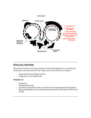  
 
 
RENAL CELL CARCINOMA 
Renal cell carcinoma is the most common of all renal malignancies, occurring most 
commonly in men between 50‐70yr of age, and is more common in smokers. 
‐ Associated with von Hippel‐Lindau 
‐ Originates in renal tubule cells 
Manifests as: 
‐ Hematuria 
‐ Palpable flank mass 
‐ Secondary polycythemia (due to production of erythropoietin from kidney) 
‐ Many paraneoplasias are common due to production of Prolactin, PTHrP, and 
ACTH) 
 
 
 
 