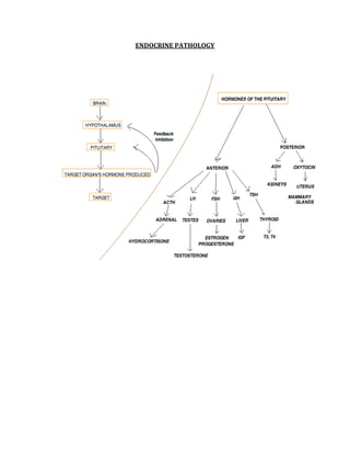 ENDOCRINE PATHOLOGY 
 
 
 
 
 
 
 
 
 
 
 
 
 