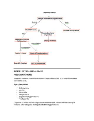  
 
TUMORS OF THE ADRENAL GLAND 
PHEOCROMOCYTOMA 
The most common tumor of the adrenal medulla in adults.  It is derived from the 
chromaffin cells. 
Signs/Symptoms: 
‐ Palpitations 
‐ Anxiety 
‐ Headache 
‐ Diaphoresis 
‐ Significant hypertension 
‐ Tachycardia 
Diagnosis is based on checking urine metanephrines, and treatment is surgical 
removal after adequate management of the hypertension. 
 
 
