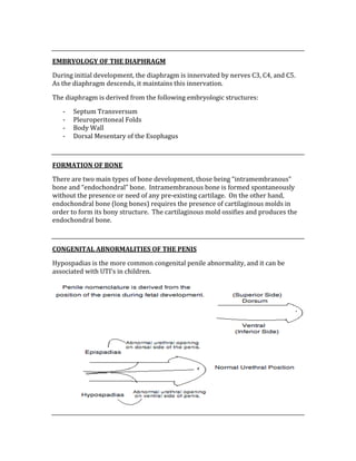  
EMBRYOLOGY OF THE DIAPHRAGM 
During initial development, the diaphragm is innervated by nerves C3, C4, and C5.  
As the diaphragm descends, it maintains this innervation.  
The diaphragm is derived from the following embryologic structures: 
‐ Septum Transversum 
‐ Pleuroperitoneal Folds 
‐ Body Wall 
‐ Dorsal Mesentary of the Esophagus 
 
FORMATION OF BONE 
There are two main types of bone development, those being “intramembranous” 
bone and “endochondral” bone.  Intramembranous bone is formed spontaneously 
without the presence or need of any pre‐existing cartilage.  On the other hand, 
endochondral bone (long bones) requires the presence of cartilaginous molds in 
order to form its bony structure.  The cartilaginous mold ossifies and produces the 
endochondral bone. 
 
CONGENITAL ABNORMALITIES OF THE PENIS 
Hypospadias is the more common congenital penile abnormality, and it can be 
associated with UTI’s in children.   
 
 