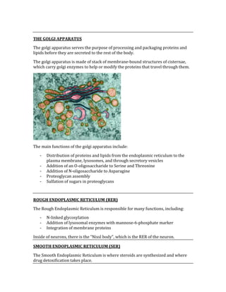  
THE GOLGI APPARATUS 
The golgi apparatus serves the purpose of processing and packaging proteins and 
lipids before they are secreted to the rest of the body. 
The golgi apparatus is made of stack of membrane‐bound structures of cisternae, 
which carry golgi enzymes to help or modify the proteins that travel through them. 
 
The main functions of the golgi apparatus include:  
‐ Distribution of proteins and lipids from the endoplasmic reticulum to the 
plasma membrane, lysosomes, and through secretory vesicles 
‐ Addition of an O‐oligosaccharide to Serine and Threonine 
‐ Addition of N‐oligosaccharide to Asparagine 
‐ Proteoglycan assembly 
‐ Sulfation of sugars in proteoglycans 
 
ROUGH ENDOPLASMIC RETICULUM (RER) 
The Rough Endoplasmic Reticulum is responsible for many functions, including: 
‐ N‐linked glycosylation 
‐ Addition of lysosomal enzymes with mannose‐6‐phosphate marker 
‐ Integration of membrane proteins 
Inside of neurons, there is the “Nissl body”, which is the RER of the neuron. 
SMOOTH ENDOPLASMIC RETICULUM (SER) 
The Smooth Endoplasmic Reticulum is where steroids are synthesized and where 
drug detoxification takes place. 
 