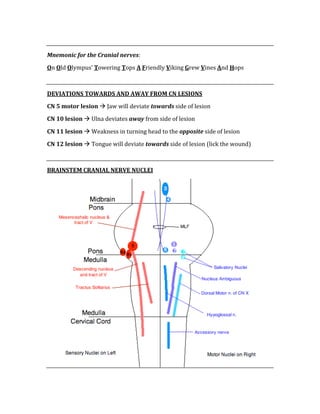  
Mnemonic for the Cranial nerves: 
On Old Olympus’ Towering Tops A Friendly Viking Grew Vines And Hops 
 
DEVIATIONS TOWARDS AND AWAY FROM CN LESIONS 
CN 5 motor lesion  Jaw will deviate towards side of lesion 
CN 10 lesion  Ulna deviates away from side of lesion 
CN 11 lesion  Weakness in turning head to the opposite side of lesion 
CN 12 lesion  Tongue will deviate towards side of lesion (lick the wound) 
 
BRAINSTEM CRANIAL NERVE NUCLEI 
 
 
