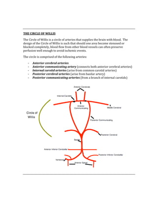  
 
THE CIRCLE OF WILLIS 
The Circle of Willis is a circle of arteries that supplies the brain with blood.  The 
design of the Circle of Willis is such that should one area become stenosed or 
blocked completely, blood flow from other blood vessels can often preserve 
perfusion well enough to avoid ischemic events. 
The circle is comprised of the following arteries: 
‐ Anterior cerebral arteries 
‐ Anterior communicating artery (connects both anterior cerebral arteries) 
‐ Internal carotid arteries (arise from common carotid arteries) 
‐ Posterior cerebral arteries (arise from basilar artery) 
‐ Posterior communicating arteries (from a branch of internal carotids) 
 
 
 
 