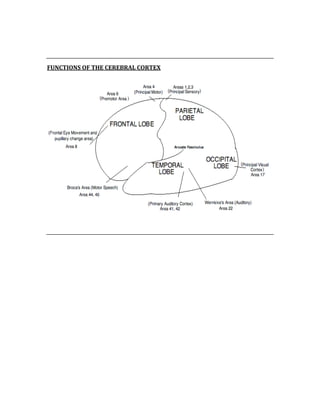  
 
FUNCTIONS OF THE CEREBRAL CORTEX 
 
 
 
 
 
 
 
 
 
 
 
 
 
 