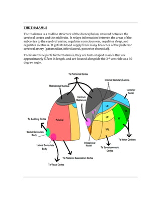  
THE THALAMUS 
The thalamus is a midline structure of the diencephalon, situated between the 
cerebral cortex and the midbrain.  It relays information between the areas of the 
subcortex to the cerebral cortex, regulates consciousness, regulates sleep, and 
regulates alertness.  It gets its blood supply from many branches of the posterior 
cerebral artery (paramedian, inferolateral, posterior choroidal). 
There are three parts to the thalamus, they are bulb‐shaped masses that are 
approximately 5.7cm in length, and are located alongside the 3rd ventricle at a 30 
degree angle. 
 
 
 
 