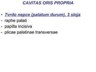 CAVITAS ORIS PROPRIA
• Tvrdo nepce (palatum durum), 3 sloja
- raphe palati
- papilla incisiva
- plicae palatinae transversae
 