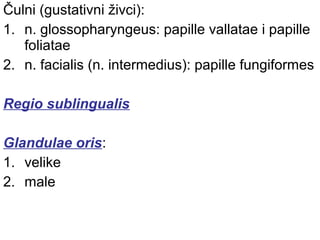 Čulni (gustativni živci):
1. n. glossopharyngeus: papille vallatae i papille
foliatae
2. n. facialis (n. intermedius): papille fungiformes
Regio sublingualis
Glandulae oris:
1. velike
2. male
 