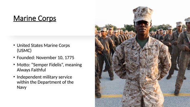 A Presentation about the United States Forces | PPTX