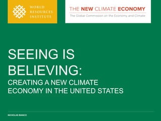 SEEING IS 
BELIEVING: 
CREATING A NEW CLIMATE 
ECONOMY IN THE UNITED STATES 
NICHOLAS BIANCO 
 