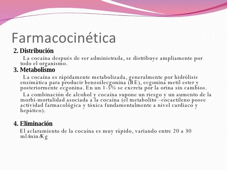 definición de metabolismo opciones