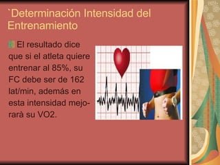 USO DEL MONITOR CARDÍACO | PPT