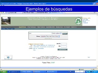 Ejemplos de búsquedas 