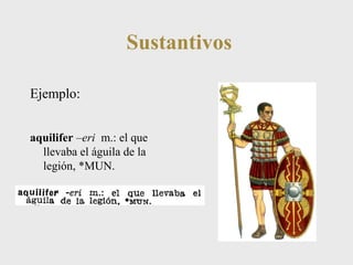 Sustantivos 
Ejemplo: 
aquilifer –eri m.: el que 
llevaba el águila de la 
legión, *MUN. 
 