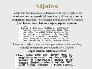Adjetivos 
Los de tres terminaciones se declinan en la mayor parte de las 
ocasiones por la segunda (el masculino y el neutro) y por la 
primera (el femenino). Se enuncian por el nominativo singular 
(tipo: bonus, bona, bonum / asper, aspera, asperum). 
Unos pocos adjetivos se declinan por la tercera declinación y 
también se enuncian por el nominativo singular 
(tipo: celeber, celebris, celebre). 
 