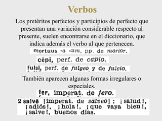 Verbos 
Los pretéritos perfectos y participios de perfecto que 
presentan una variación considerable respecto al 
presente, suelen encontrarse en el diccionario, que 
indica además el verbo al que pertenecen. 
También aparecen algunas formas irregulares o 
especiales. 
 