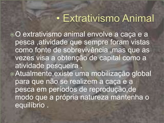 O extrativismo animal envolve a caça e a
pesca ,atividade que sempre foram vistas
como fonte de sobrevivência ,mas que as
vezes visa a obtenção de capital como a
atividade pesqueira .
Atualmente,existe uma mobilização global
para que não se realizem a caça e a
pesca em períodos de reprodução,de
modo que a própria natureza mantenha o
equilíbrio .
 