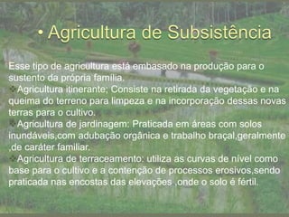 Esse tipo de agricultura está embasado na produção para o
sustento da própria família.
Agricultura itinerante; Consiste na retirada da vegetação e na
queima do terreno para limpeza e na incorporação dessas novas
terras para o cultivo.
Agricultura de jardinagem: Praticada em áreas com solos
inundáveis,com adubação orgânica e trabalho braçal,geralmente
,de caráter familiar.
Agricultura de terraceamento: utiliza as curvas de nível como
base para o cultivo e a contenção de processos erosivos,sendo
praticada nas encostas das elevações ,onde o solo é fértil.
 
