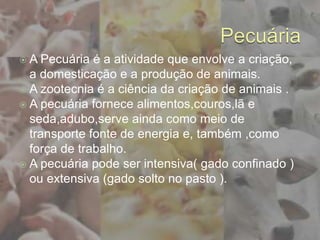  A Pecuária é a atividade que envolve a criação,
a domesticação e a produção de animais.
 A zootecnia é a ciência da criação de animais .
 A pecuária fornece alimentos,couros,lã e
seda,adubo,serve ainda como meio de
transporte fonte de energia e, também ,como
força de trabalho.
 A pecuária pode ser intensiva( gado confinado )
ou extensiva (gado solto no pasto ).
 