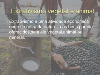 Extrativismo é uma atividade econômica
onde se retira da natureza os bens por ela
oferecidos,seja ele vegetal,animal ou
mineral.
 
