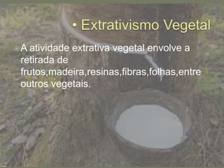 A atividade extrativa vegetal envolve a
retirada de
frutos,madeira,resinas,fibras,folhas,entre
outros vegetais.
 