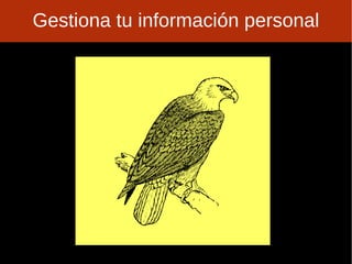 Eres dueño de lo que subes?? 