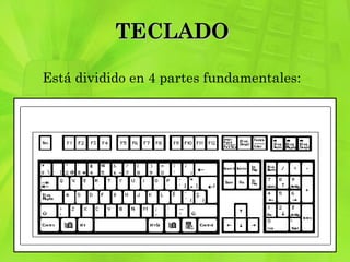 TECLADO  Está dividido en 4 partes fundamentales:  