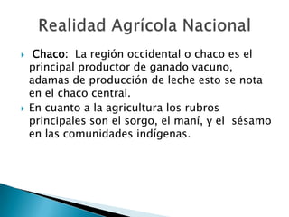     Chaco: La región occidental o chaco es el
    principal productor de ganado vacuno,
    adamas de producción de leche esto se nota
    en el chaco central.
   En cuanto a la agricultura los rubros
    principales son el sorgo, el maní, y el sésamo
    en las comunidades indígenas.
 