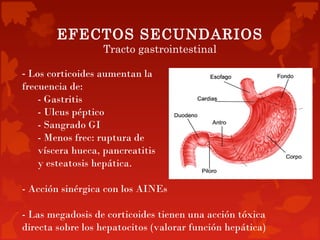 EFECTOS SECUNDARIOS
                  Tracto gastrointestinal

- Los corticoides aumentan la
frecuencia de:
    - Gastritis
    - Ulcus péptico
    - Sangrado GI
    - Menos frec: ruptura de
    víscera hueca, pancreatitis
    y esteatosis hepática.

- Acción sinérgica con los AINEs

- Las megadosis de corticoides tienen una acción tóxica
directa sobre los hepatocitos (valorar función hepática)
 